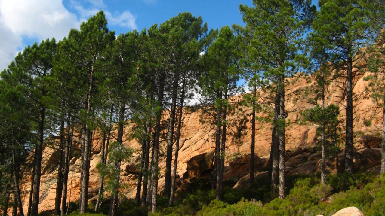 Serriera  Domaine Codaleone מראה חיצוני תמונה